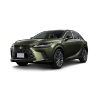 Tappetini Auto Lexus RX 450h+ (2022-…)