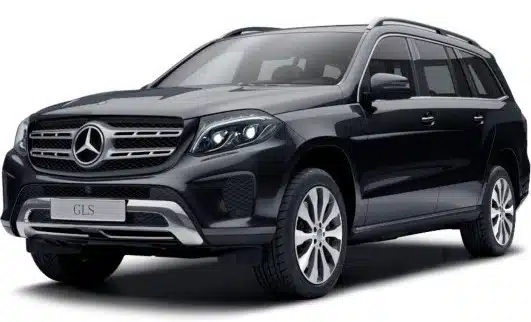 Tappetini Auto Mercedes-Benz X166 GLS-Class (2015-2019)