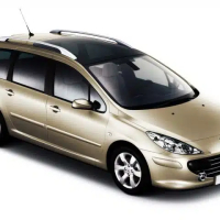 Tappetini Auto Peugeot 307 (2001-2008)
