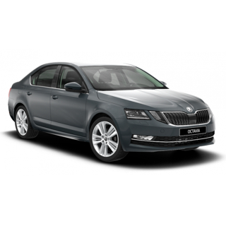 Tappetini Auto Skoda Octavia A7 (2017-2019)